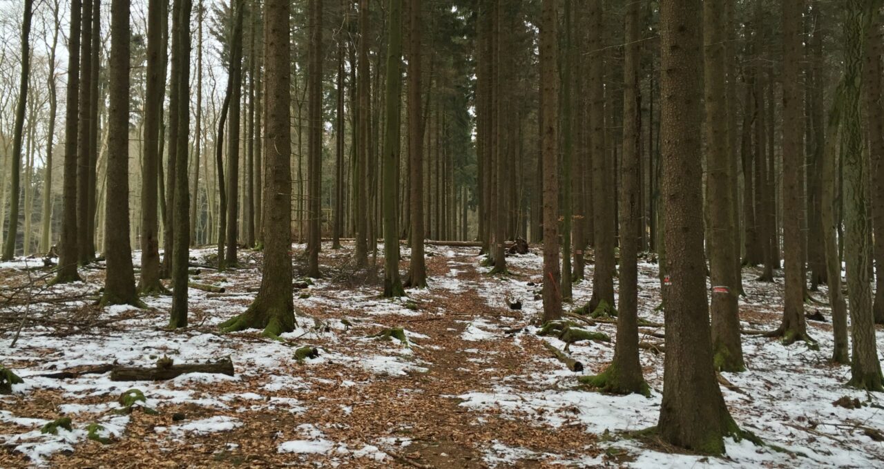 Alte Opelvilla Taunus lostplace