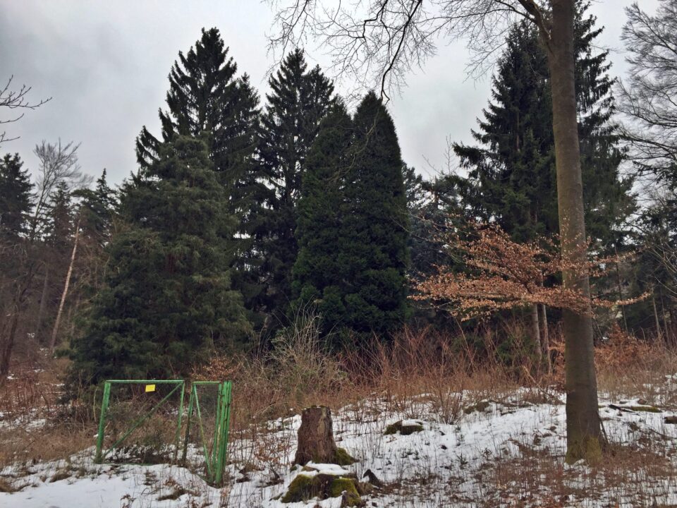 Alte Opelvilla Taunus lostplace