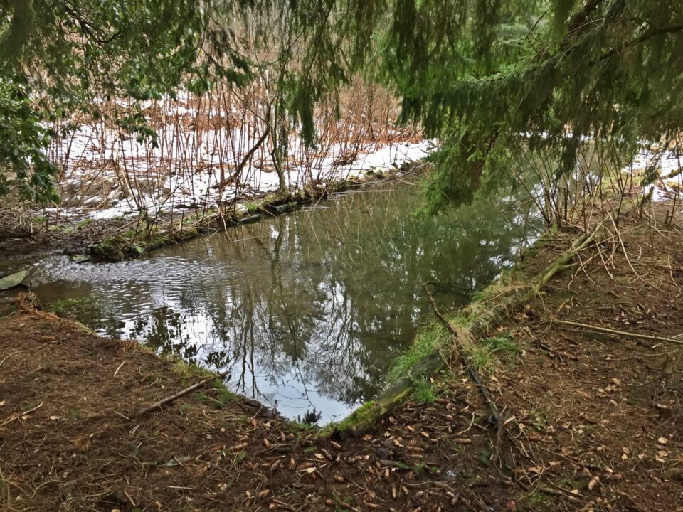 Alte Opelvilla Taunus lostplace