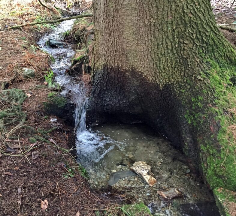 Alte Opelvilla Taunus lostplace