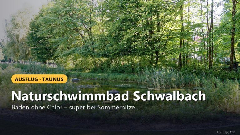 Bericht: Naturschwimmbad Schwalbach. Ts – Super bei Sommerhitze