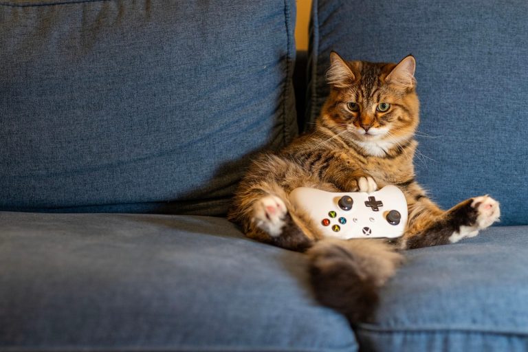 IP-Tracking in der Games-Industrie: Wie Gaming-Plattformen deine Daten 2025 wirklich nutzen