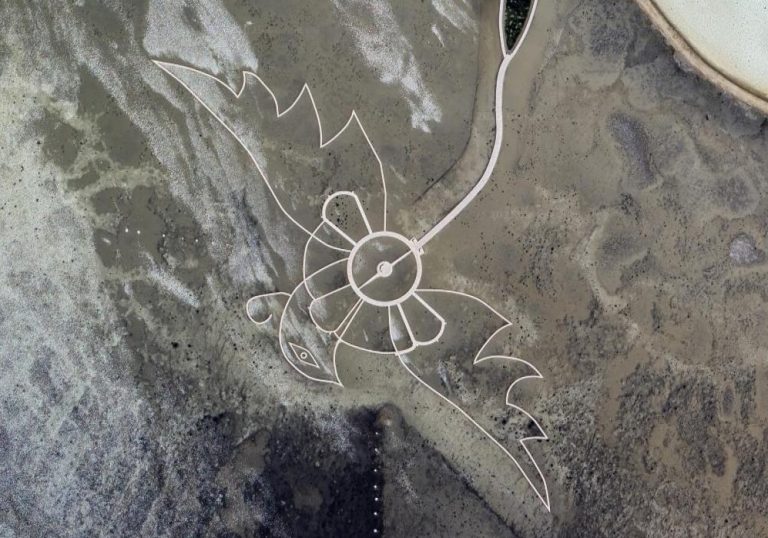 Google Earth Funde – Riesenvogel im Chaka Yan Lake