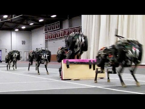 Cheetah Roboter des MIT beim Hürdenlauf
