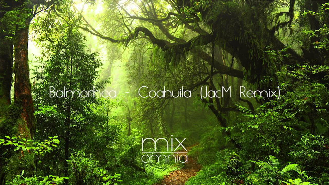 Chillstep Mix – The Silent Forest