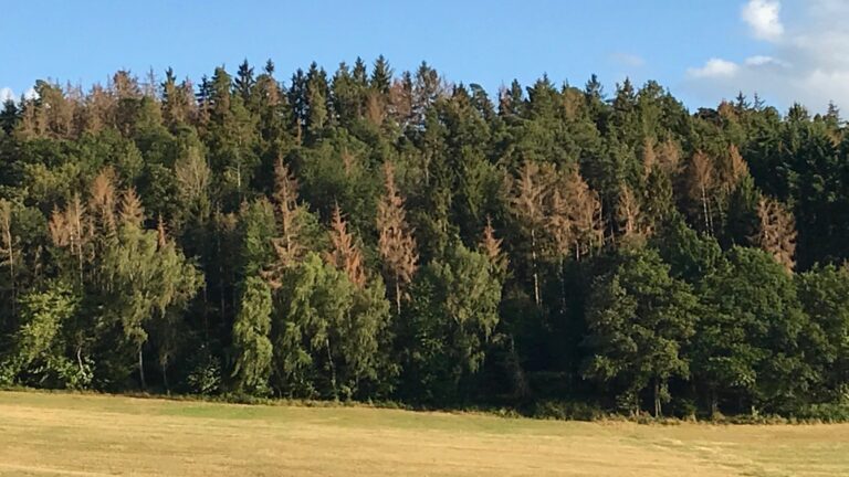 Was kann man gegen den Klimawandel tun?
