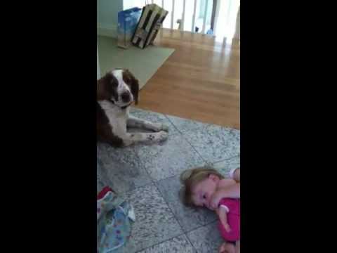 Der Kinder Flüsterer Hund