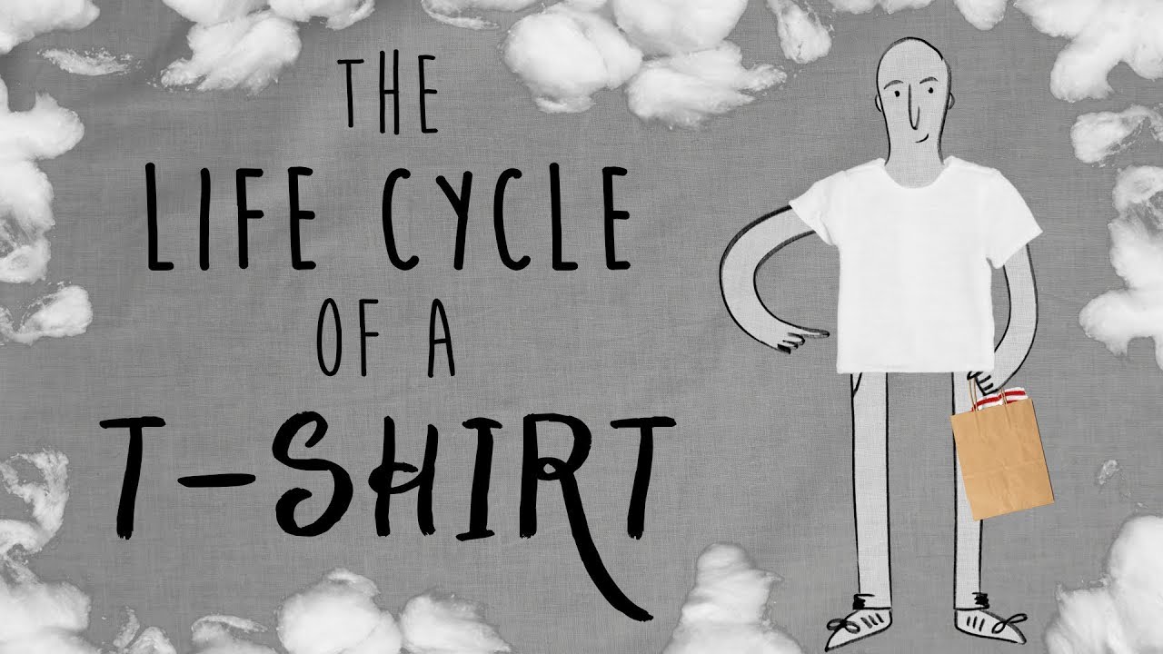 Die Lebensgeschichte eines T-Shirts