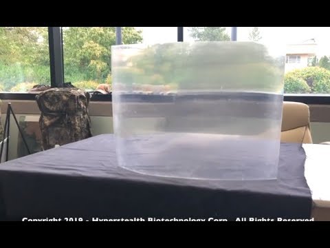 Die tägliche Dosis Internet