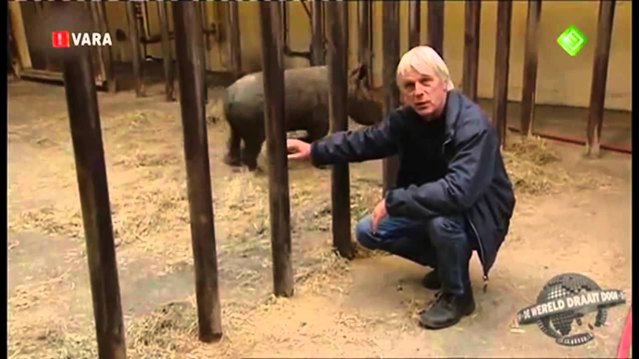 Die Zusammenfassung von Jurassic World