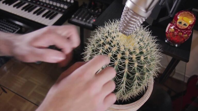 Drum and Bass auf dem Kaktus spielen