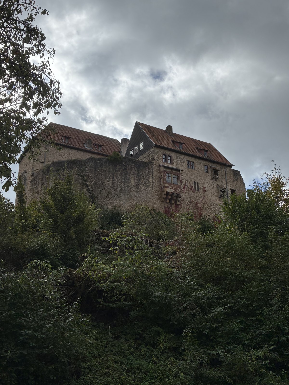 Die Tannenburg auf dem Berg bei Nentershausen