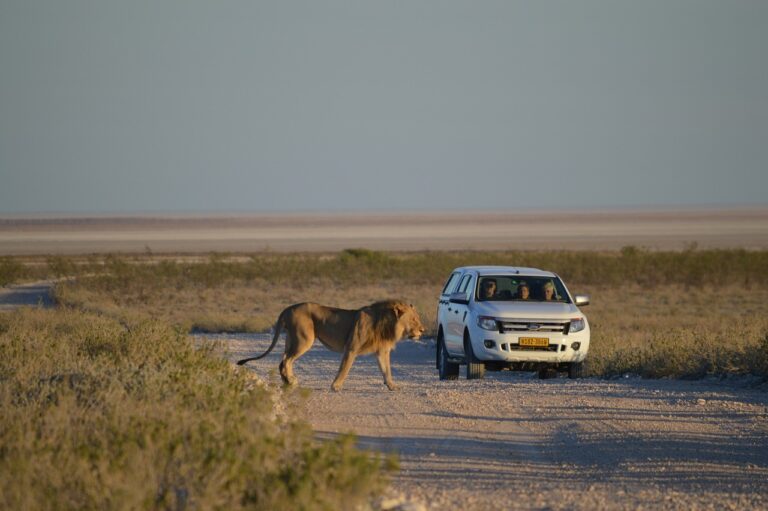Tipps für die perfekte Namibia-Reise