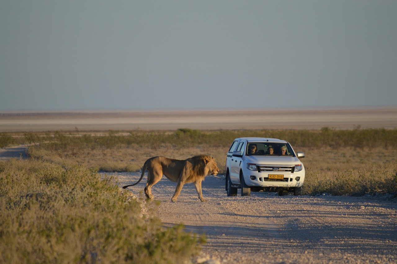 Tipps für die perfekte Namibia-Reise
