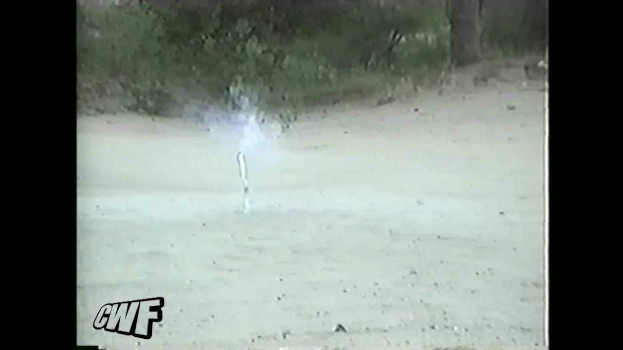 Feuerwerk Dackel like a boss