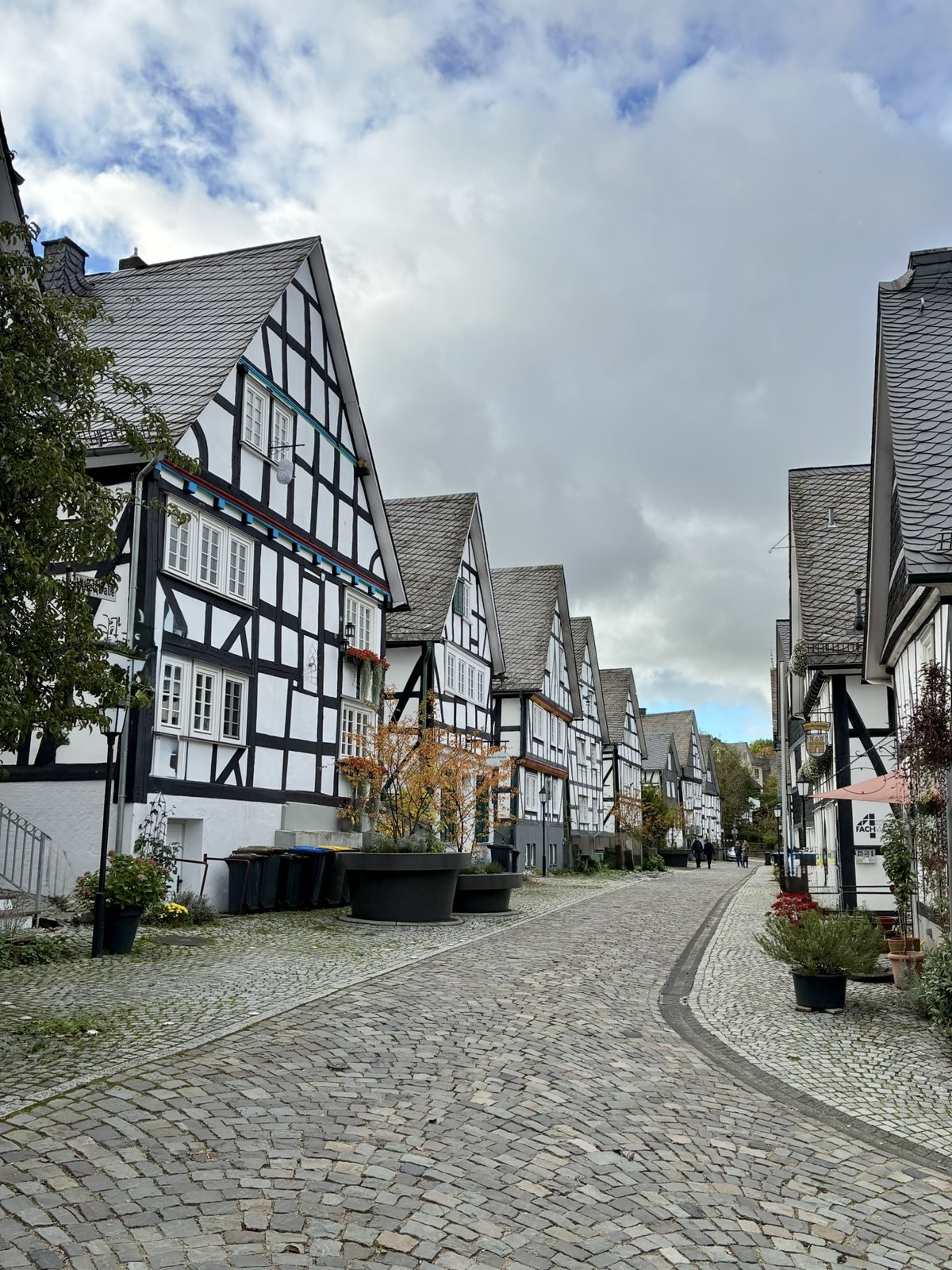 Lange Gasse mit Fachwerkhäusern in Freudenberg