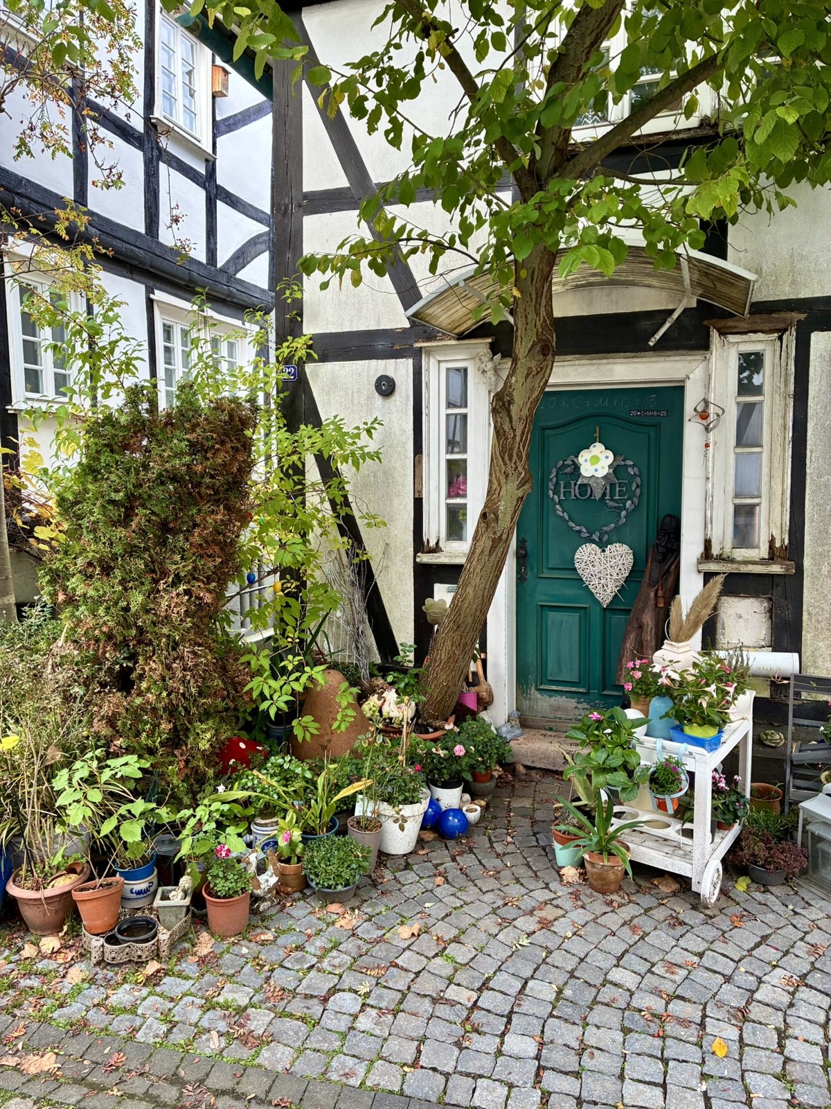 Grüne Haustür mit Blumen im Alten Flecken