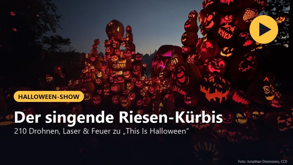 Viele leuchtende geschnitzte Halloween-Kürbisse bei Dämmerung