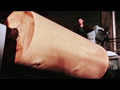 Herstellung von Sperrholzplatten 1954 vs. 2016