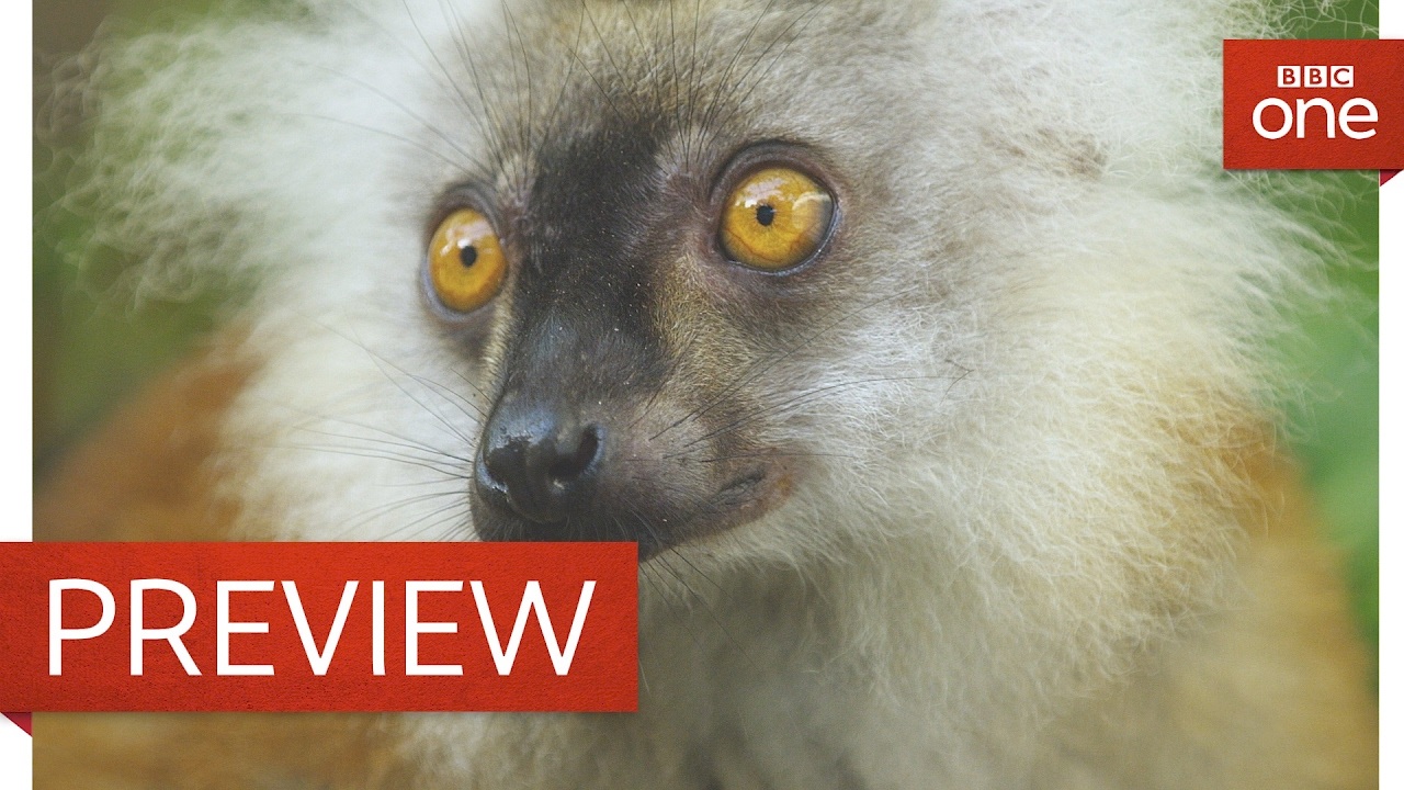 How to get high on millipedes