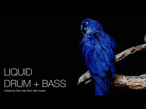 Liquid Drum and Bass Mix 41