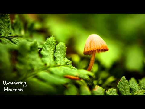 Wondering – Liquid Drum & Bass Mix 2013 HD