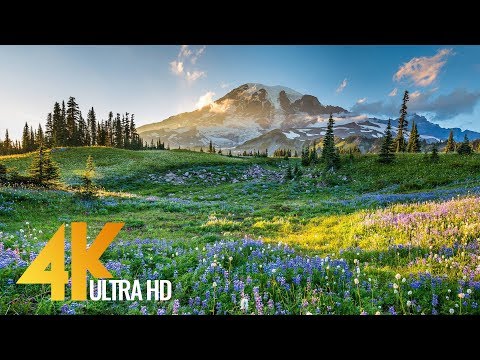 4K Mount Rainier National Park – Nature Relax Video, Summer Scenery – 2 HRS