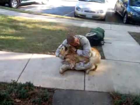 Hund freut sich über Rückkehr des Herrchens