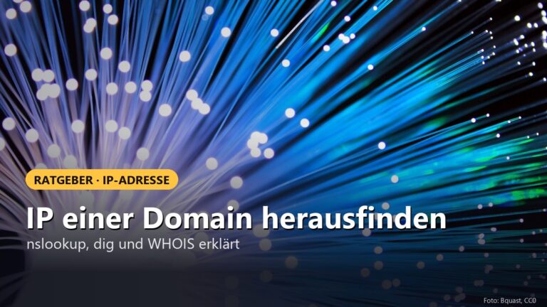 IP einer Domain herausfinden – und wem eine IP gehört