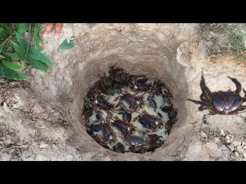 Krabben und Aal Fallen in Kambodscha