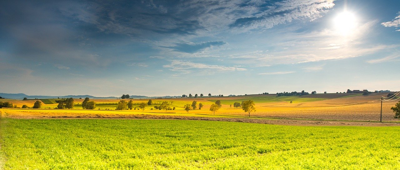 Regionalparks und zukünftige Freiraumstrategien