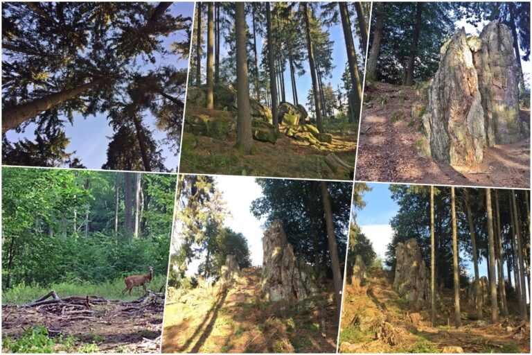 Rundweg: Lenzhahn (Taunus) zum Hohlen Stein