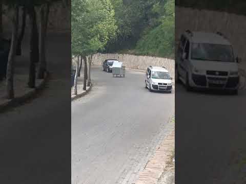 Mülltonne außer Kontrolle