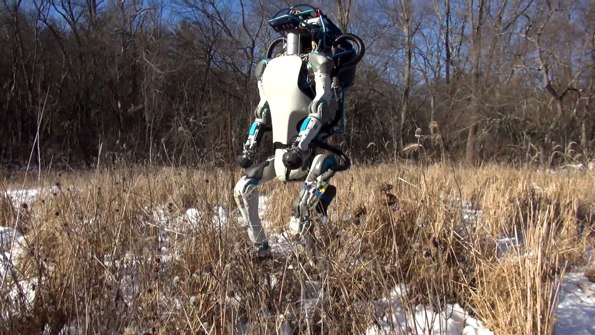 Der Atlas Roboter von Boston Dynamics