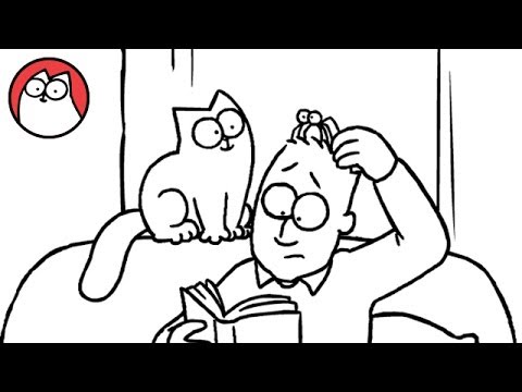 Niedliches Katzenvideo: Simon’s Cat und die Spinnenangst