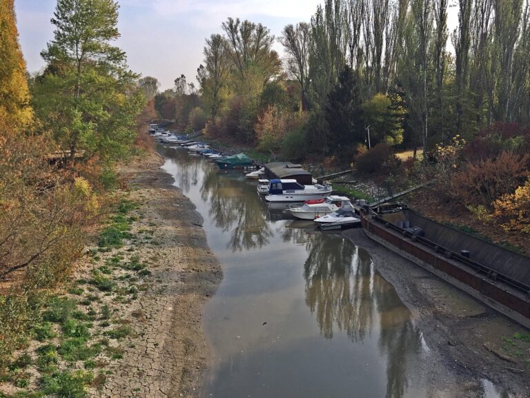 Niedrigwasser am Rhein