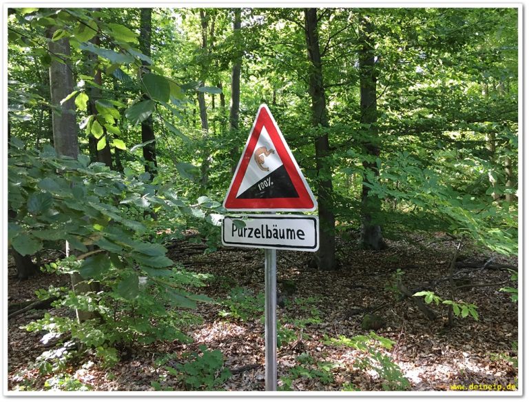 Bericht: Regionalpark Safariroute Kronberg
