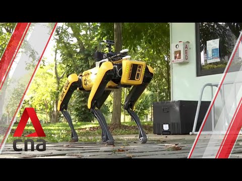 Robot Dog: Wie er uns während der Pandemie hilft