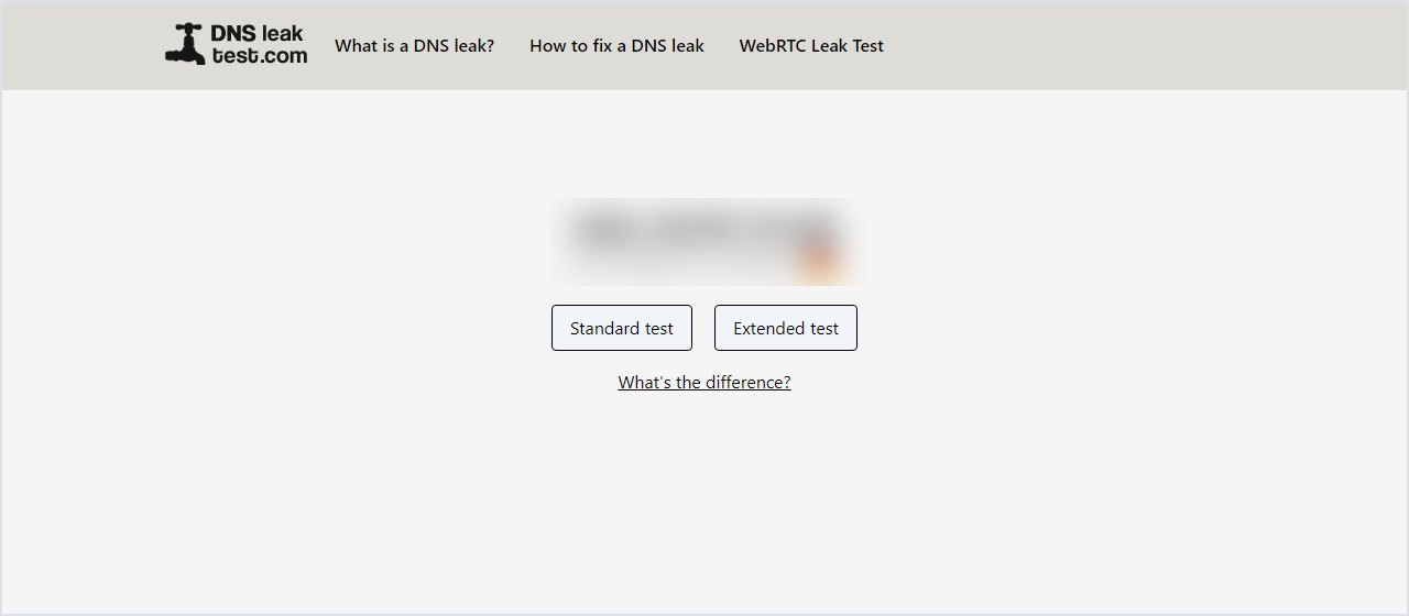 Startseite von dnsleaktest.com