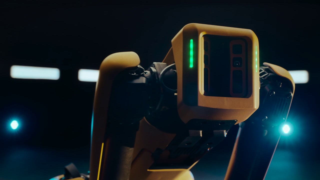 Spot kann Vieles, was kannst du ?