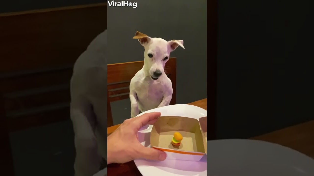 “Unzufrieden im Job? Tipps für mehr Zufriedenheit und Erfüllung”