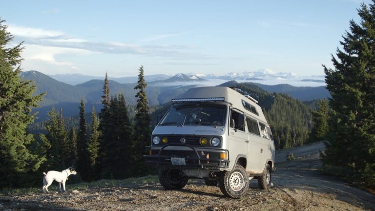 VW Bullis – The Wanderlust of #Vanlife