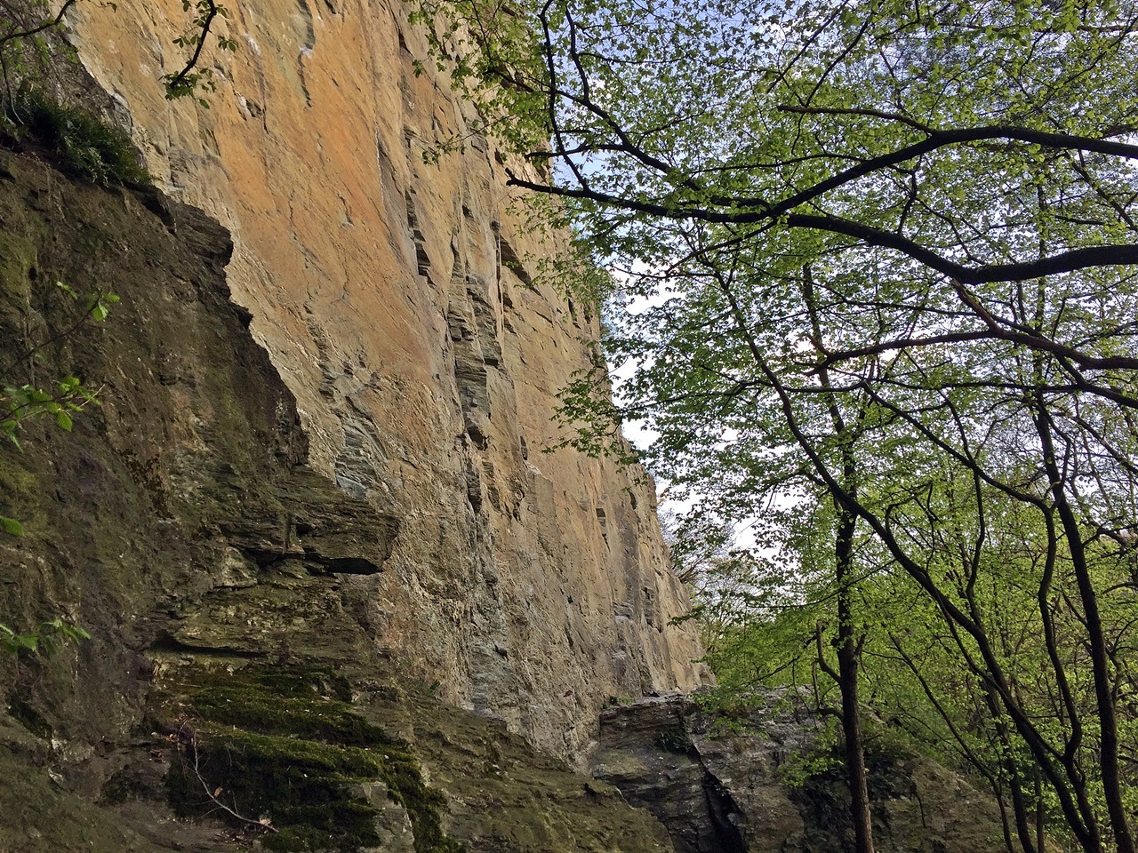 walterstein lorsbach eppstein naturschutzgebiet