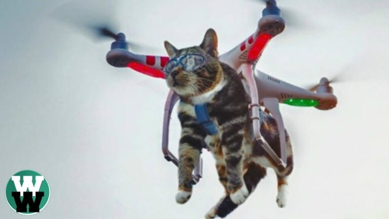 Die verblüffenden Leistungen von Quadrocoptern