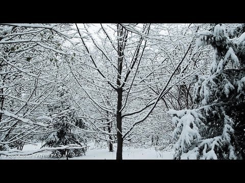 Winter Schnee – Hören Sehen und Relaxen