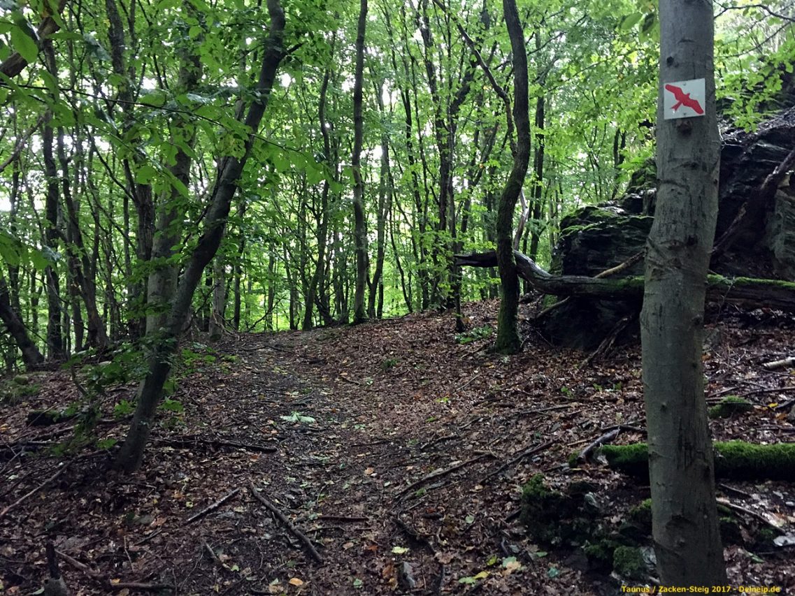 zacken beilstein steig taunus