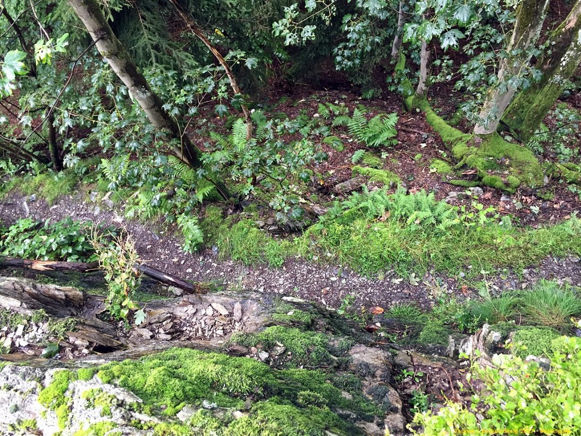zacken beilstein steig taunus
