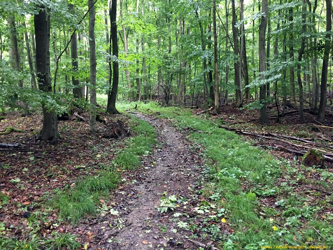 zacken beilstein steig taunus