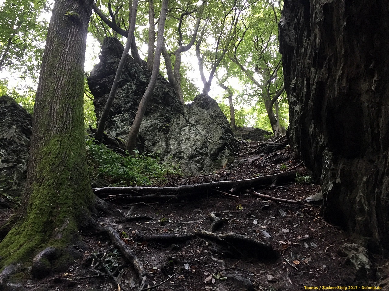 zacken beilstein steig taunus