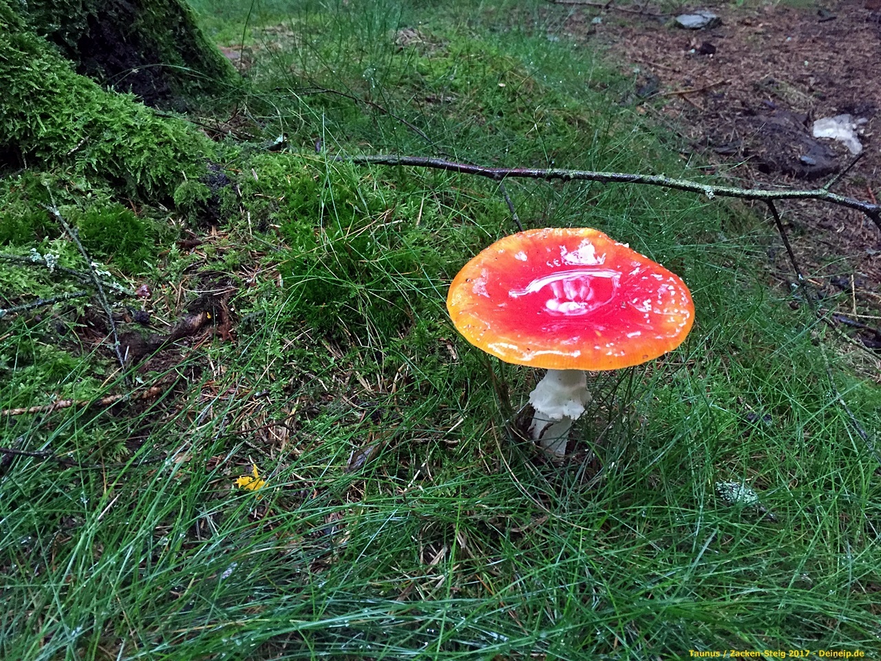 zacken beilstein steig taunus